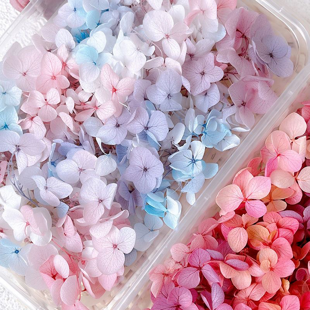 Dried Flower Bulk - 1Box Real Dried Flower Nail Decoration