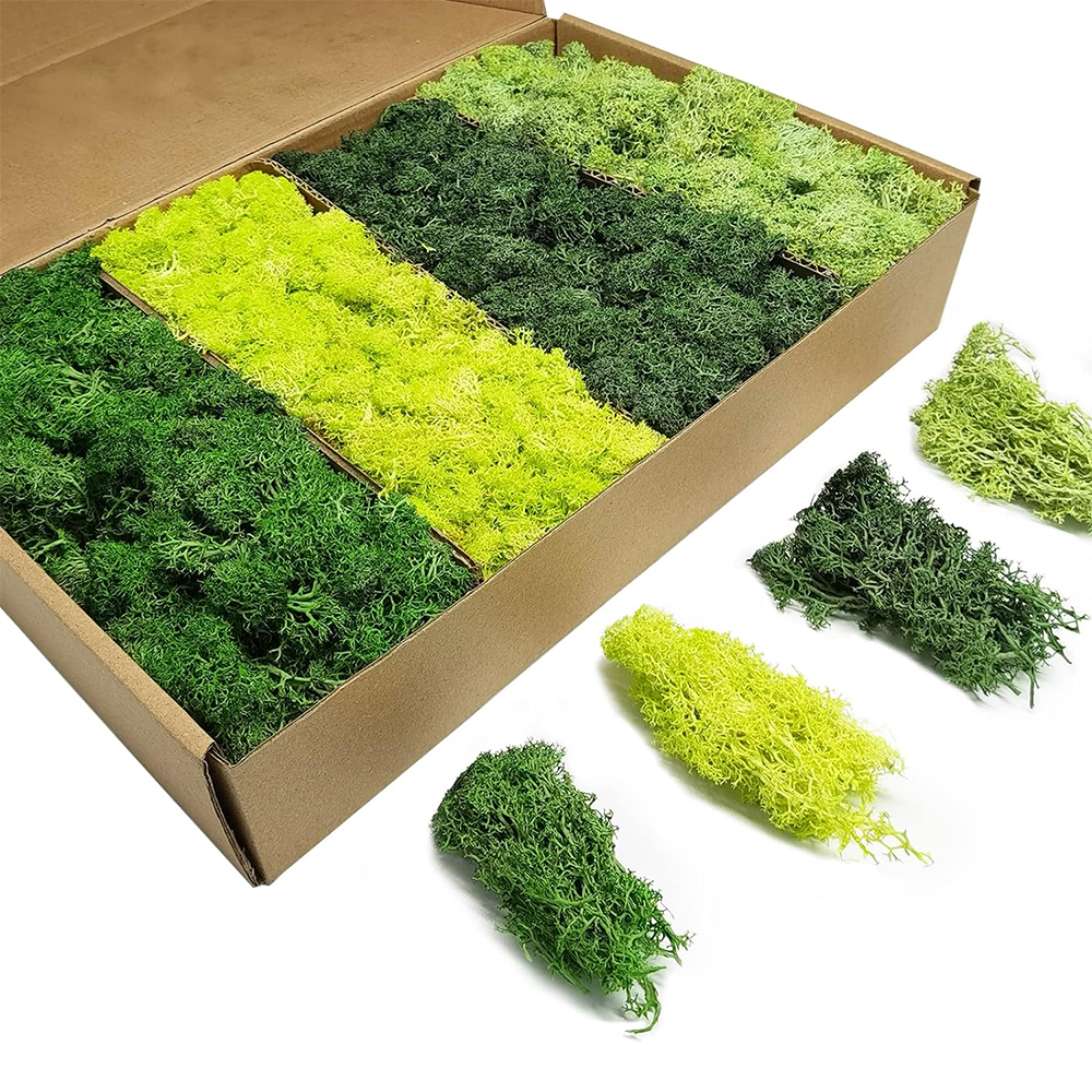 Terrarium Moss Art - Artificial Green Plants Eternal Life Moss