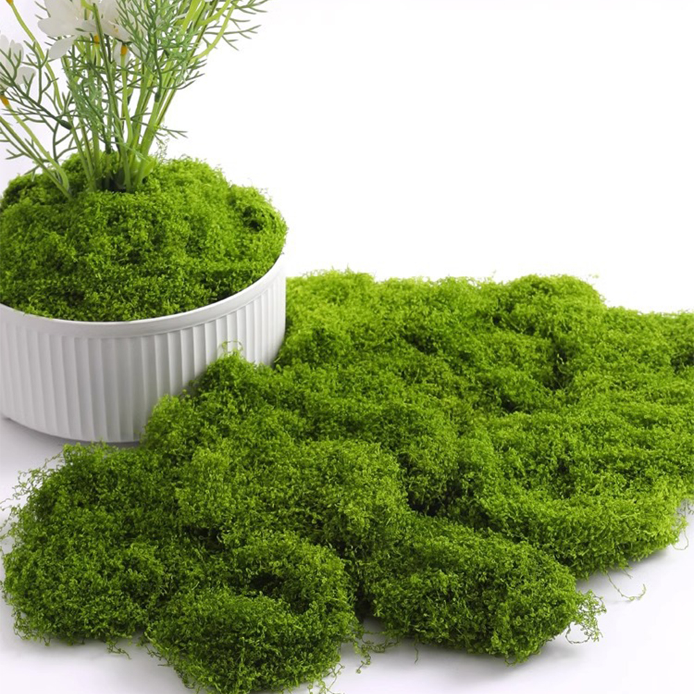 Terrarium Moss Art - 100/200/500g Eternal Life Moss DIY Crafts