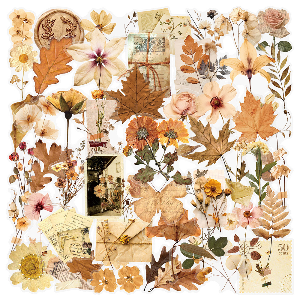 Dried Flower Bulk - 10/30/50pcs Transparent Dried Flower Leaf Specimens
