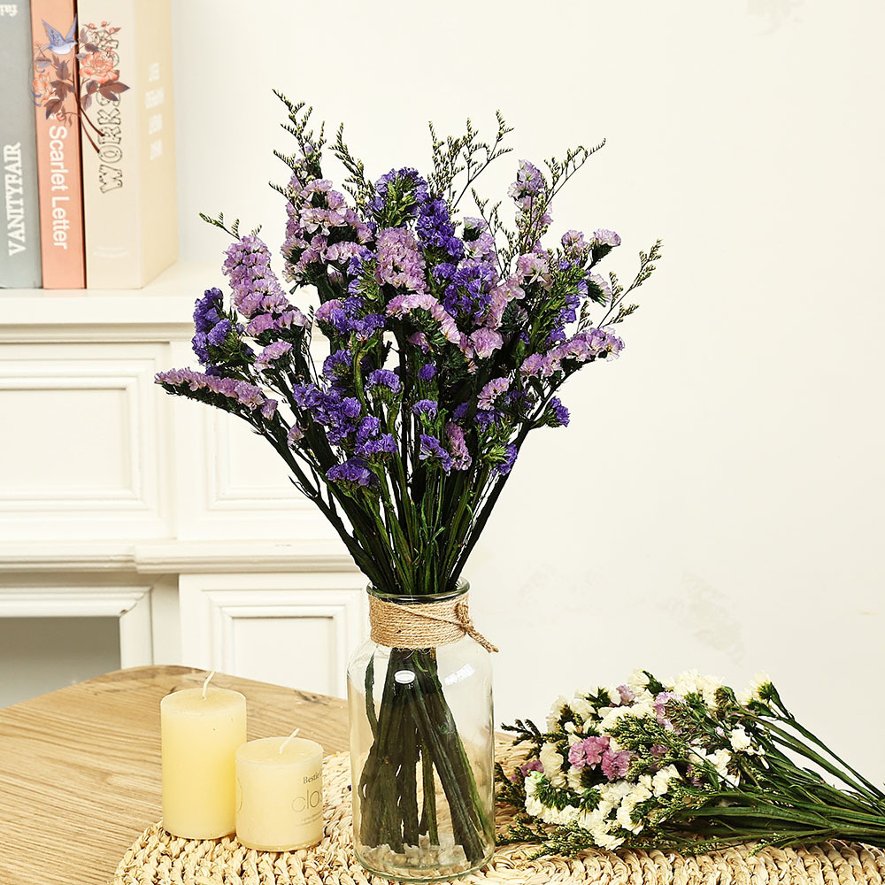 Dried Flower Bulk - 100g Natural Real Forget-me-not Flower Bouquet