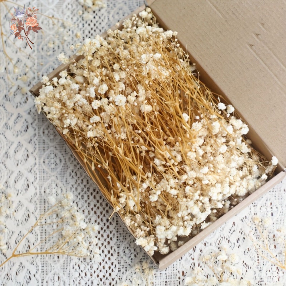 Dried Flower Bulk - 100pcs Mini Dried Baby's Breath Flowers