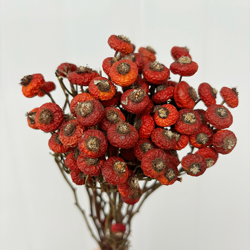 10pcs/Bunch Dried Rose Hip Ber - огляд і ціна Dried Flower Bulk