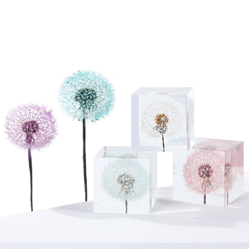 Dandelion preserved fresh flow - огляд і ціна Flower Preservation Resin