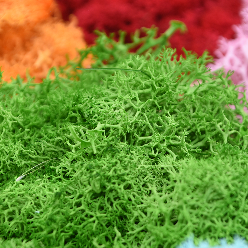 20/40g Artificial Green Plants - огляд і ціна Terrarium Moss Art