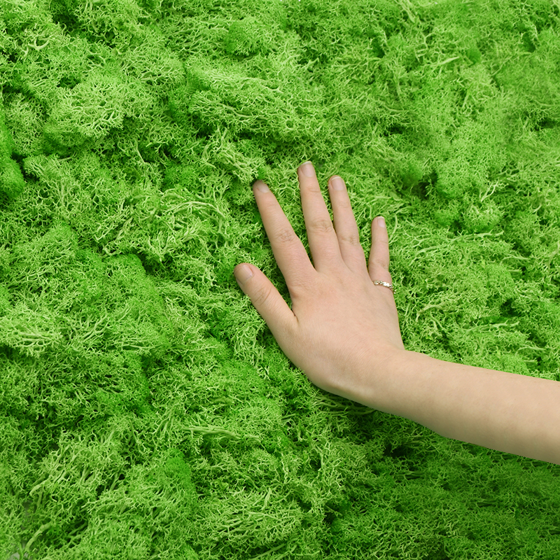 20/40g Artificial Green Plants - огляд і ціна Terrarium Moss Art