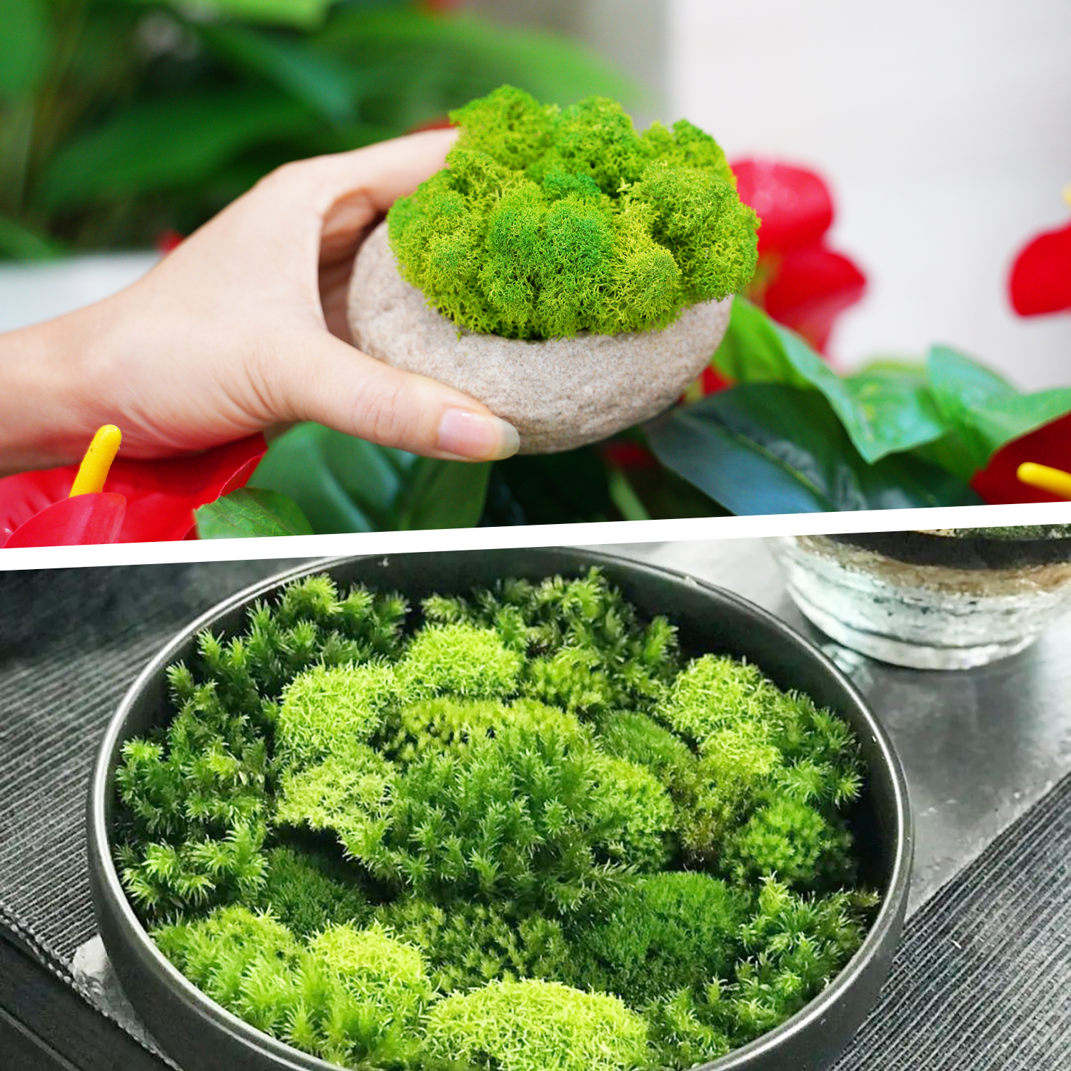 Artificial Green Plants Eterna - огляд і ціна Terrarium Moss Art