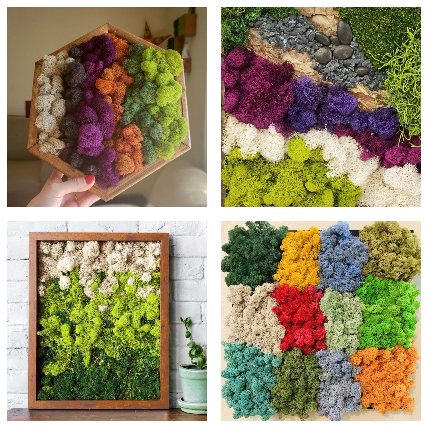Artificial Green Plants Eterna - огляд і ціна Terrarium Moss Art