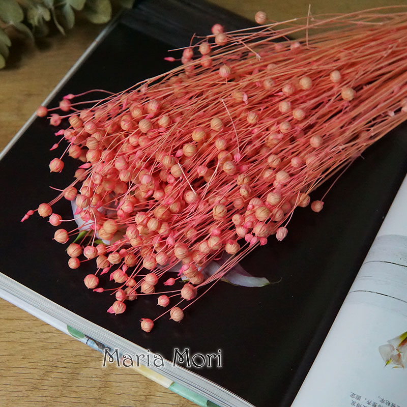 35g/Preserved Ormosia Hosiei N - огляд і ціна Dried Flower Bulk