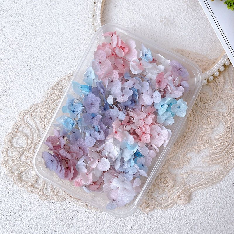1Box Real Dried Flower Nail De - огляд і ціна Dried Flower Bulk