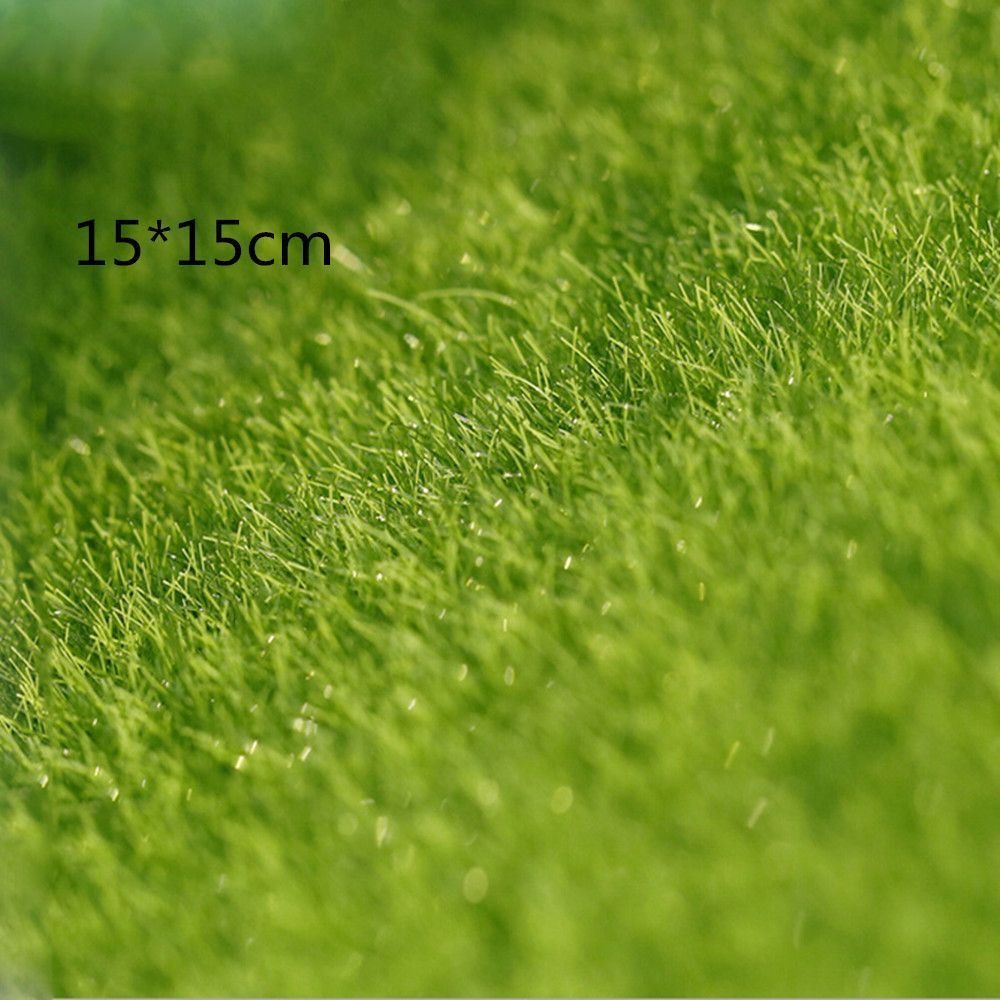 Ecological Lawn Decor Garden O - огляд і ціна Terrarium Moss Art