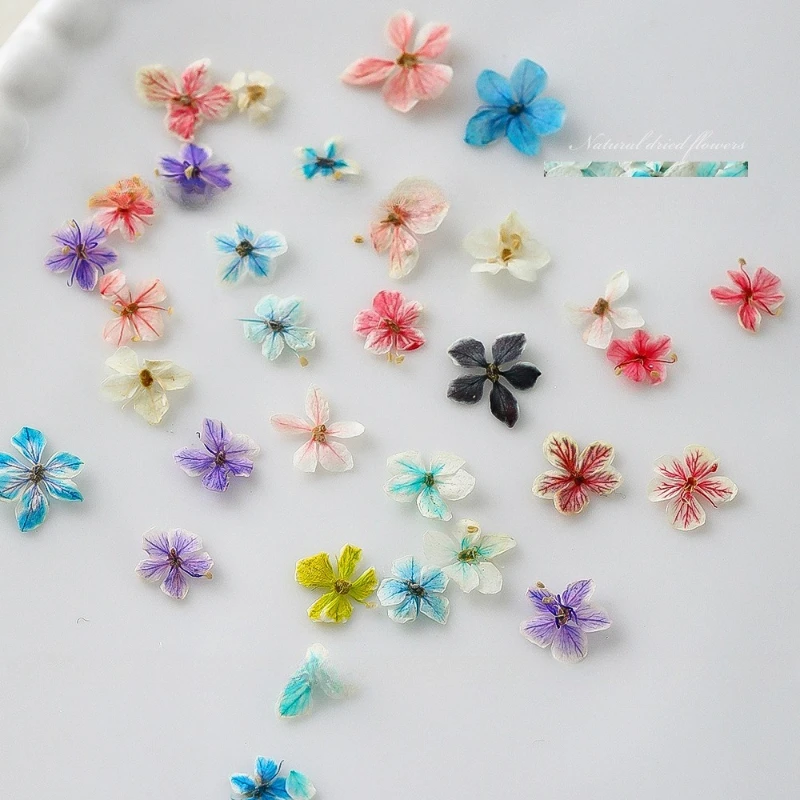 1PCS Summer Gradient Floral Na - огляд і ціна Dried Flower Bulk