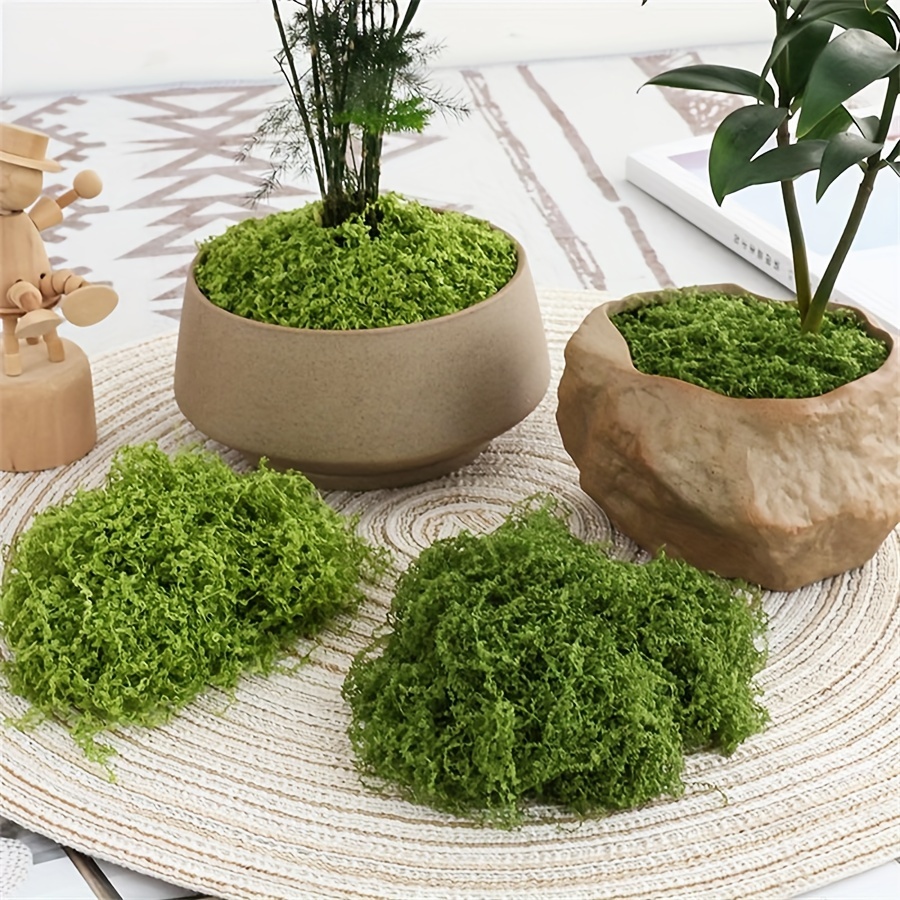 1pack Artificial Fake Moss, 1. - огляд і ціна Terrarium Moss Art