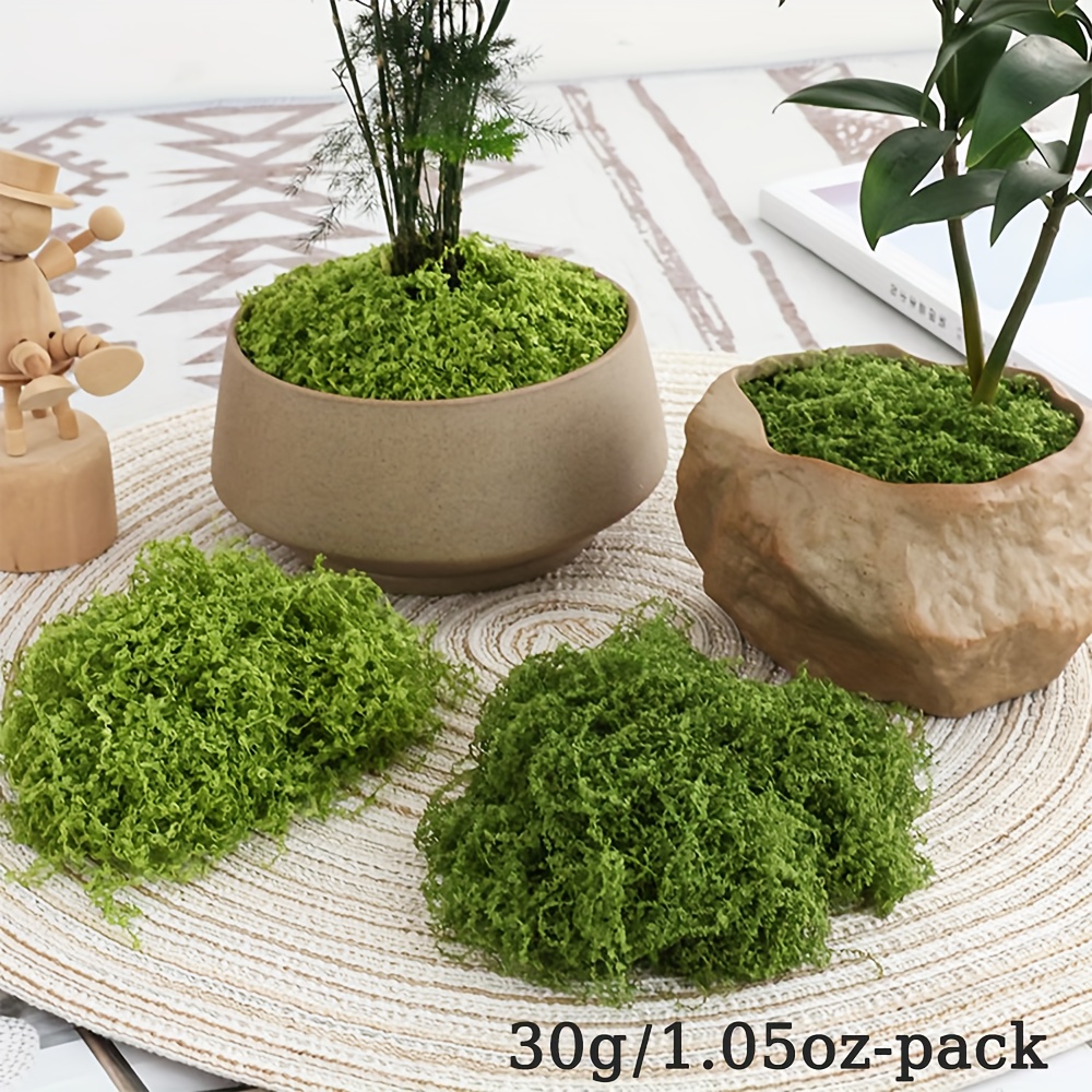 1pack Artificial Fake Moss, 1. - огляд і ціна Terrarium Moss Art