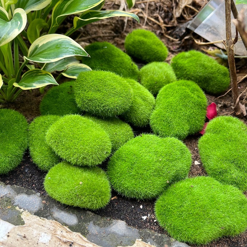 5/30pcs Simulation Moss Stone  - огляд і ціна Terrarium Moss Art