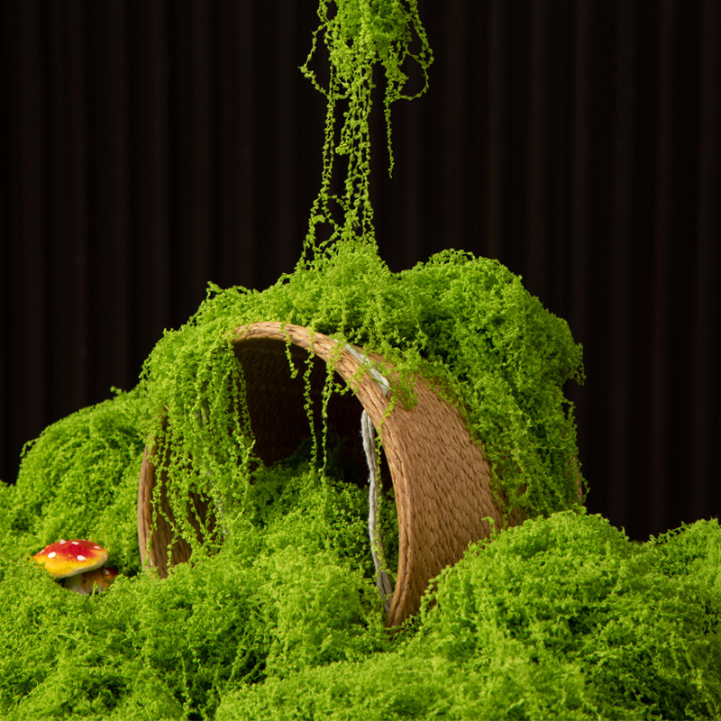200g Eternal Life Moss DIY Cra - огляд і ціна Terrarium Moss Art