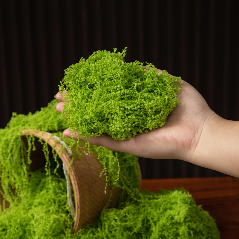 200g Eternal Life Moss DIY Cra - огляд і ціна Terrarium Moss Art