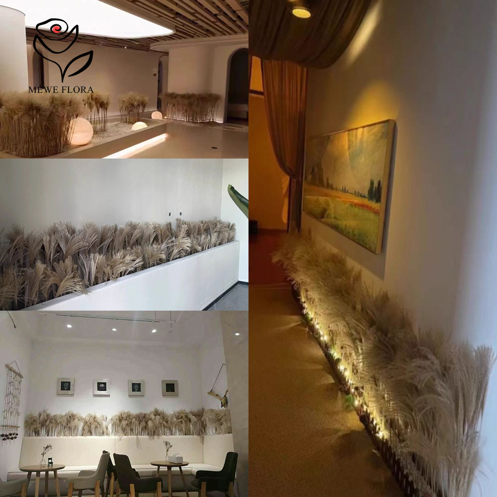 200PCS Natural Dried Fluffy Re - огляд і ціна Dried Flower Bulk