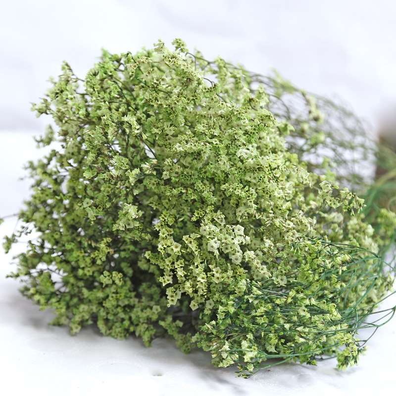 Natural Fresh Dried Preserved  - огляд і ціна Dried Flower Bulk