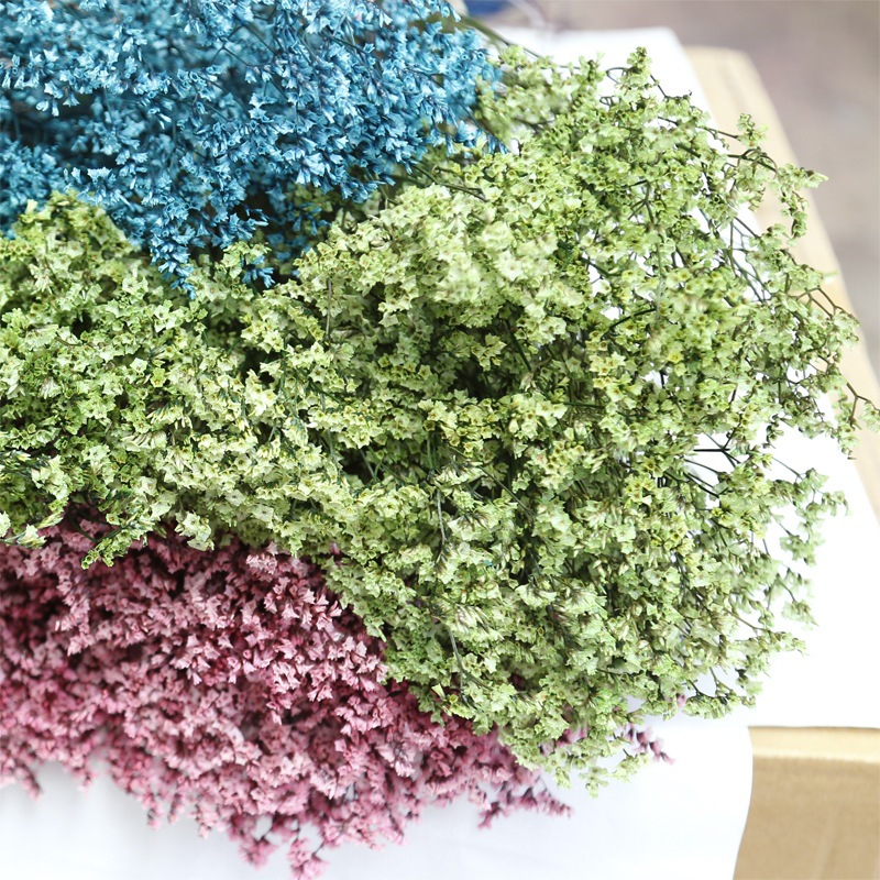 Natural Fresh Dried Preserved  - огляд і ціна Dried Flower Bulk