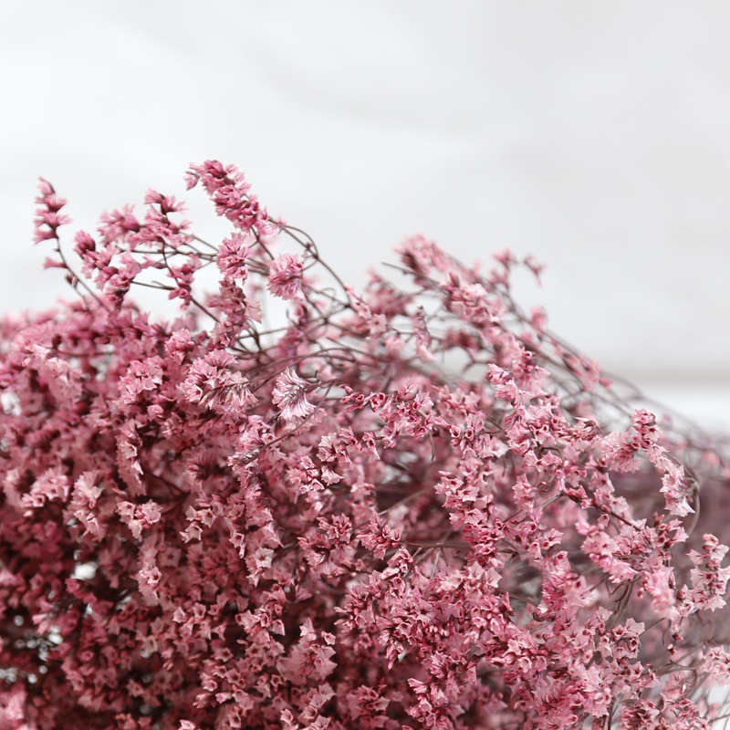 Natural Fresh Dried Preserved  - огляд і ціна Dried Flower Bulk