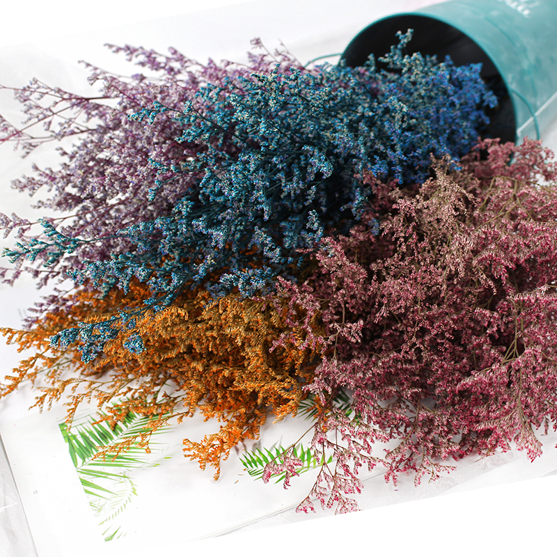 50g/Preserved Valentine's Gras - огляд і ціна Dried Flower Bulk