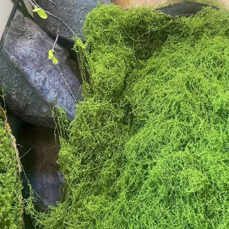 Green Fake Moss DIY Crafts Gra - огляд і ціна Terrarium Moss Art