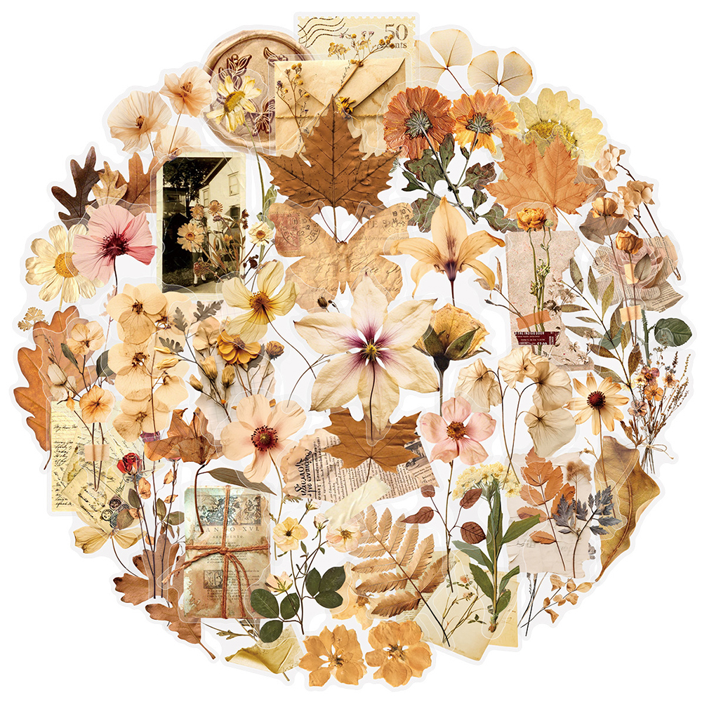10/30/50pcs Transparent Dried  - огляд і ціна Dried Flower Bulk