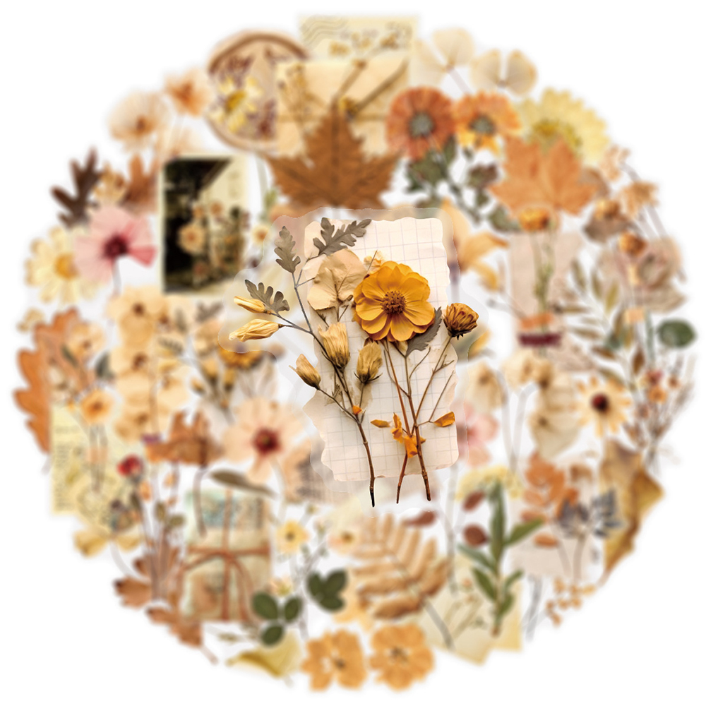 10/30/50pcs Transparent Dried  - огляд і ціна Dried Flower Bulk