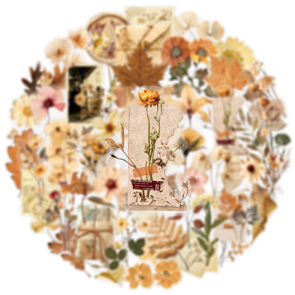 10/30/50pcs Transparent Dried  - огляд і ціна Dried Flower Bulk