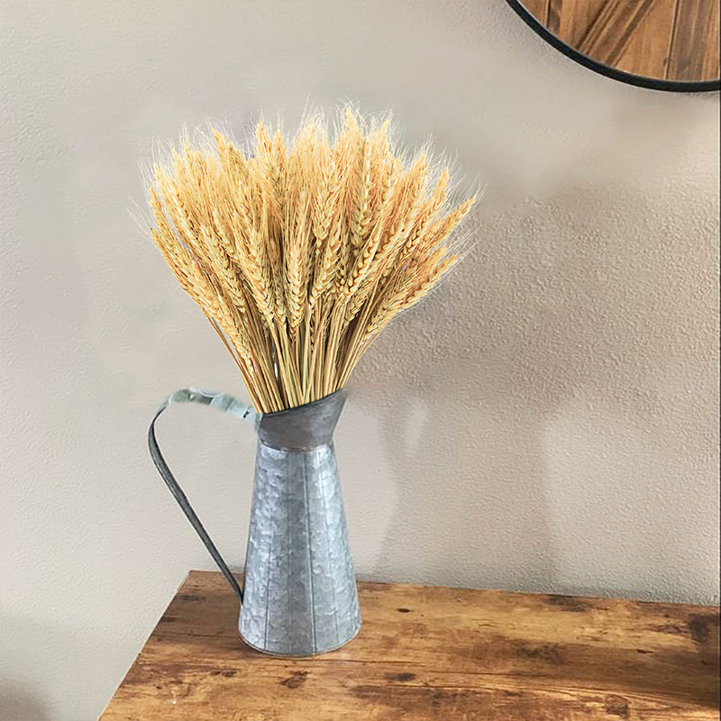50/100/200PCS Dried Wheat Stal - огляд і ціна Dried Flower Bulk