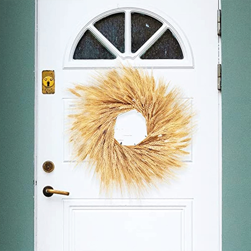 50/100/200PCS Dried Wheat Stal - огляд і ціна Dried Flower Bulk