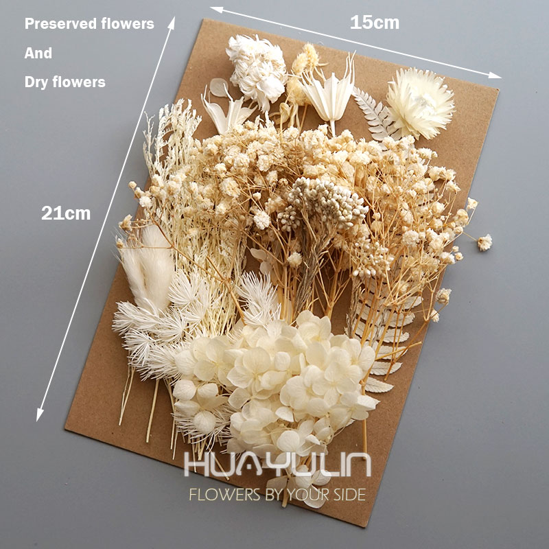 1 Pack Artificial Plants Dried - огляд і ціна Flower Preservation Resin