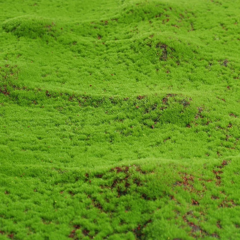 50X50cm Artificial Grass Rug F - огляд і ціна Terrarium Moss Art