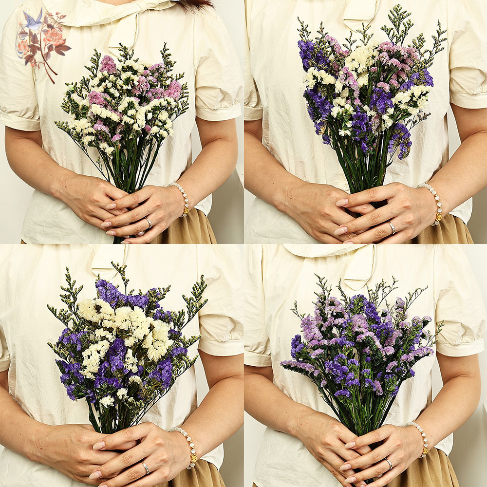 100g Natural Real Forget-me-no - огляд і ціна Dried Flower Bulk