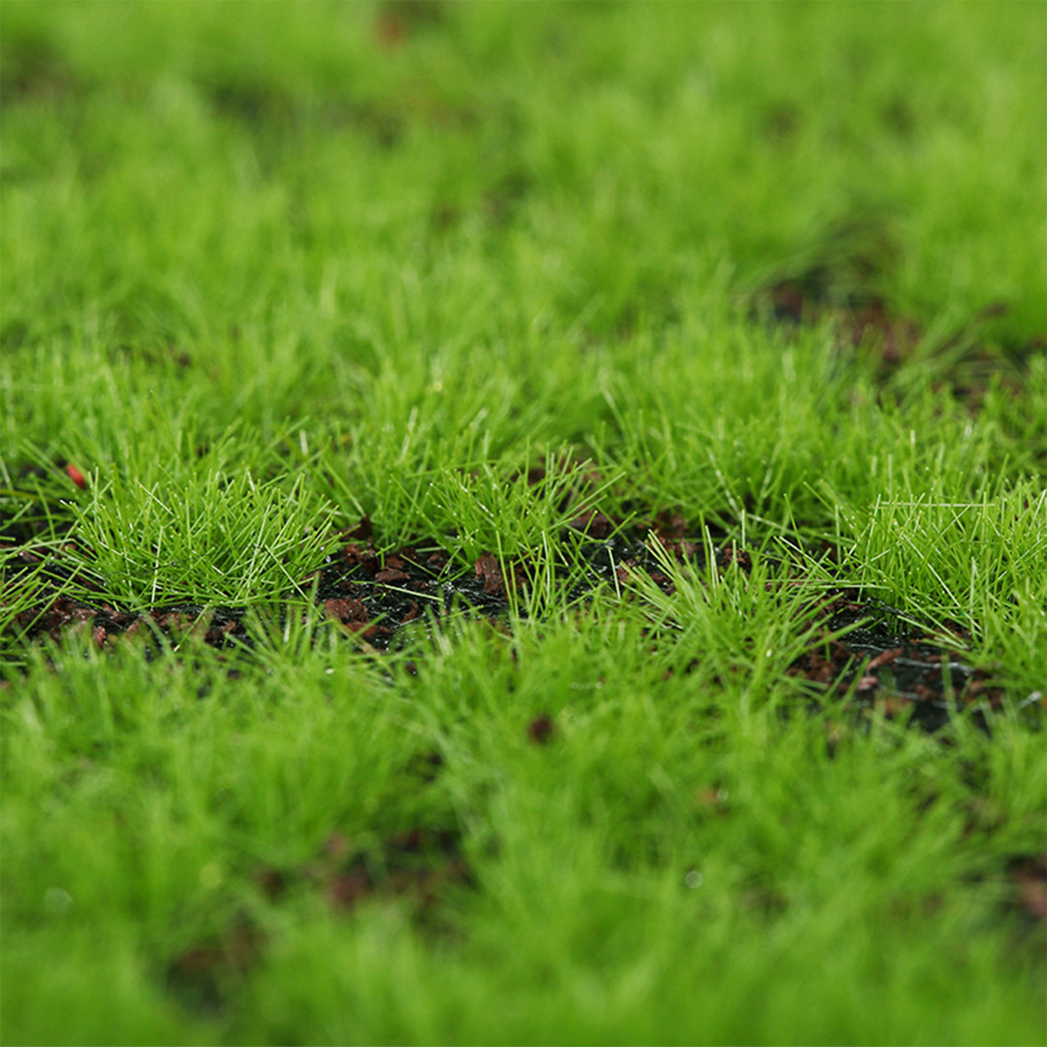 Artificial Moss Turf Simulatio - огляд і ціна Terrarium Moss Art