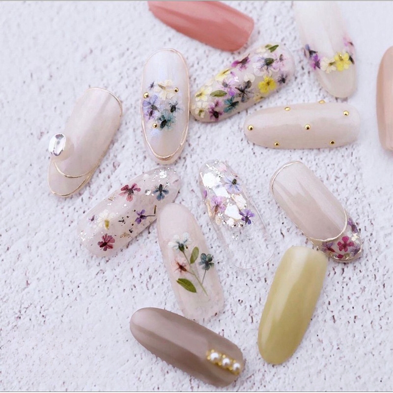 Mixed Small Dried Flowers Nail - огляд і ціна Dried Flower Bulk