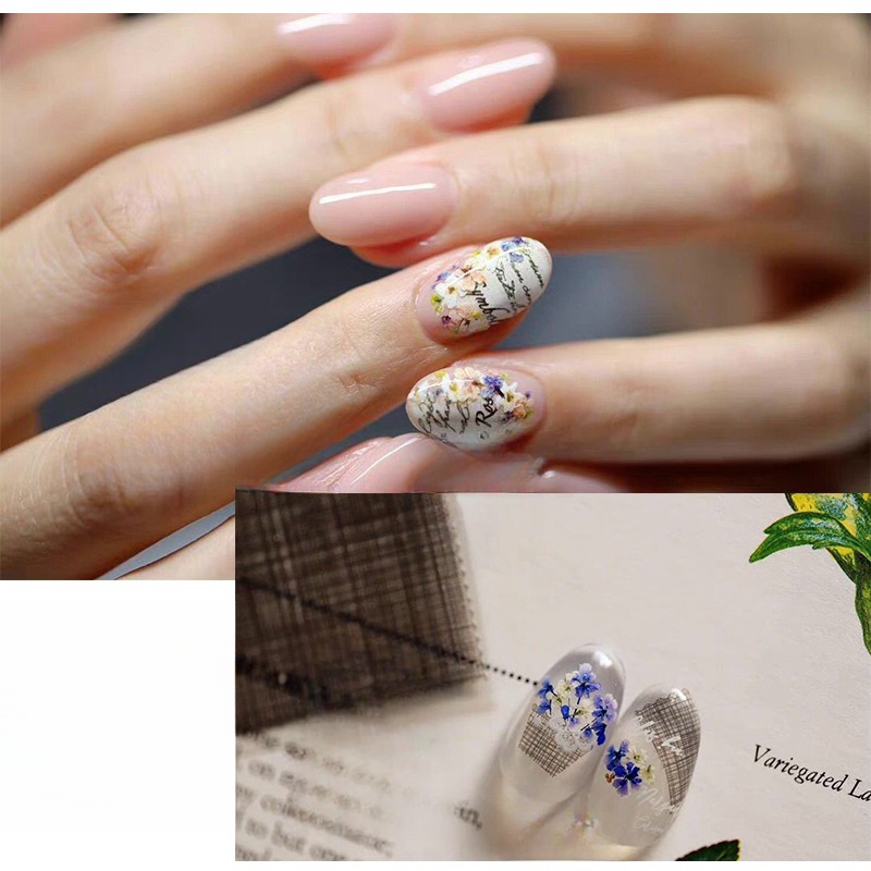 Mixed Small Dried Flowers Nail - огляд і ціна Dried Flower Bulk