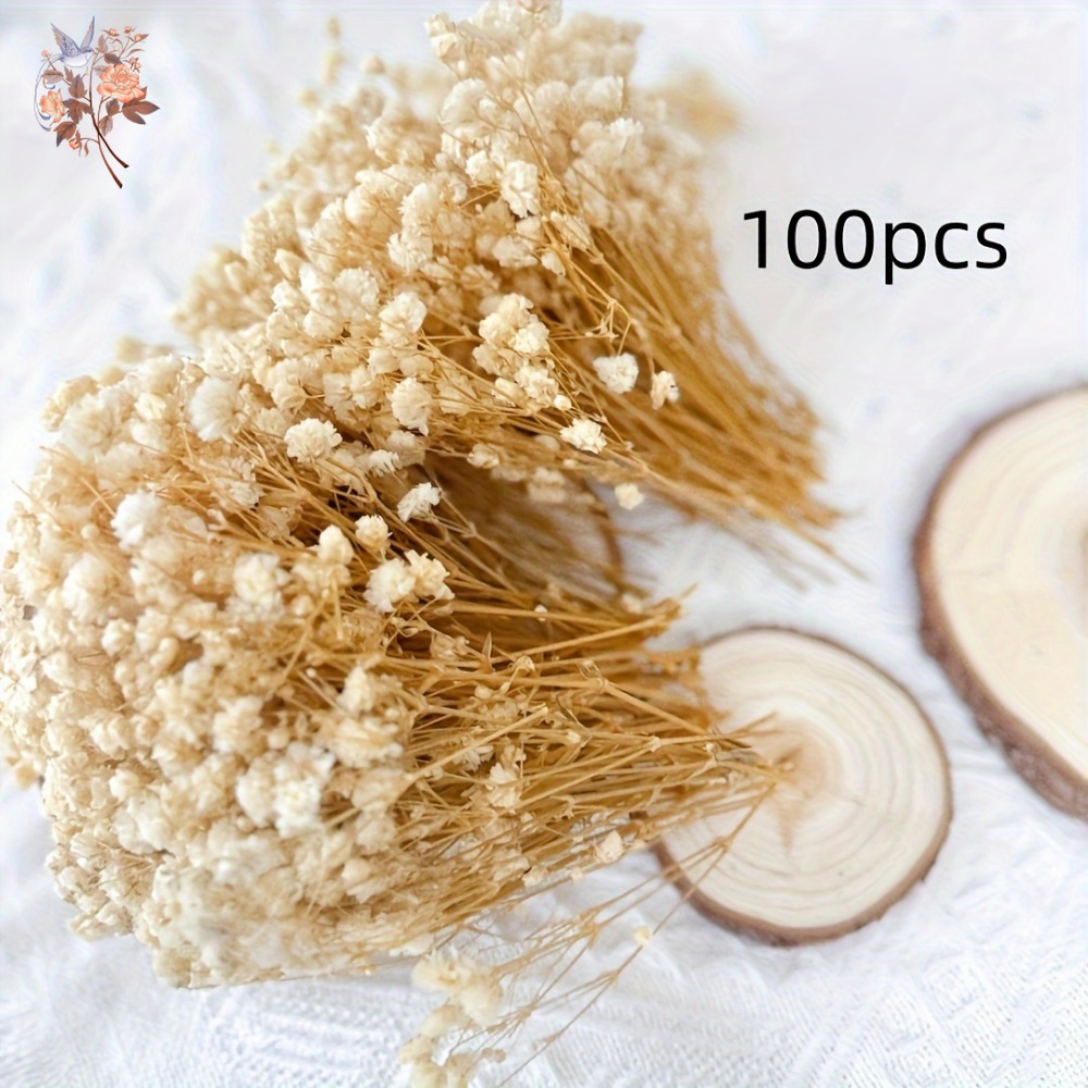 100pcs Mini Dried Baby's Breat - огляд і ціна Dried Flower Bulk