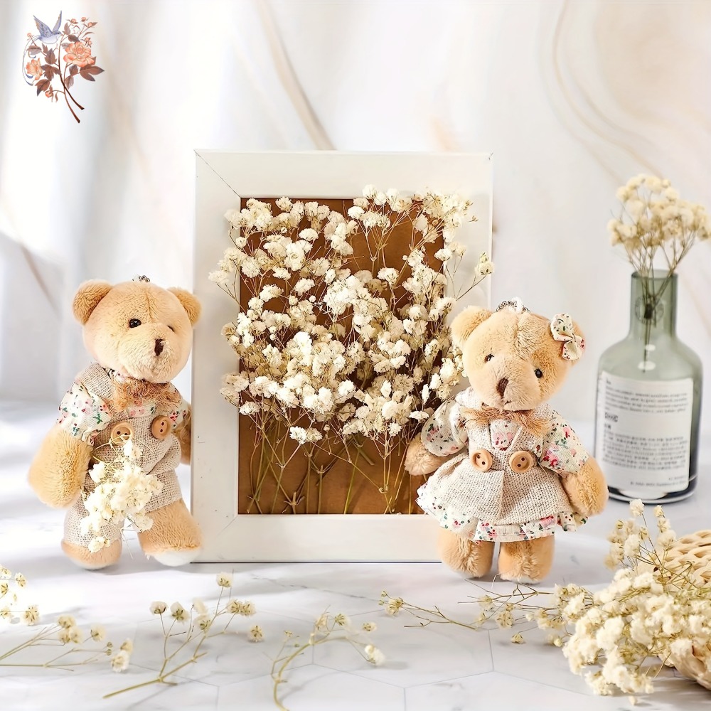 100pcs Mini Dried Baby's Breat - огляд і ціна Dried Flower Bulk