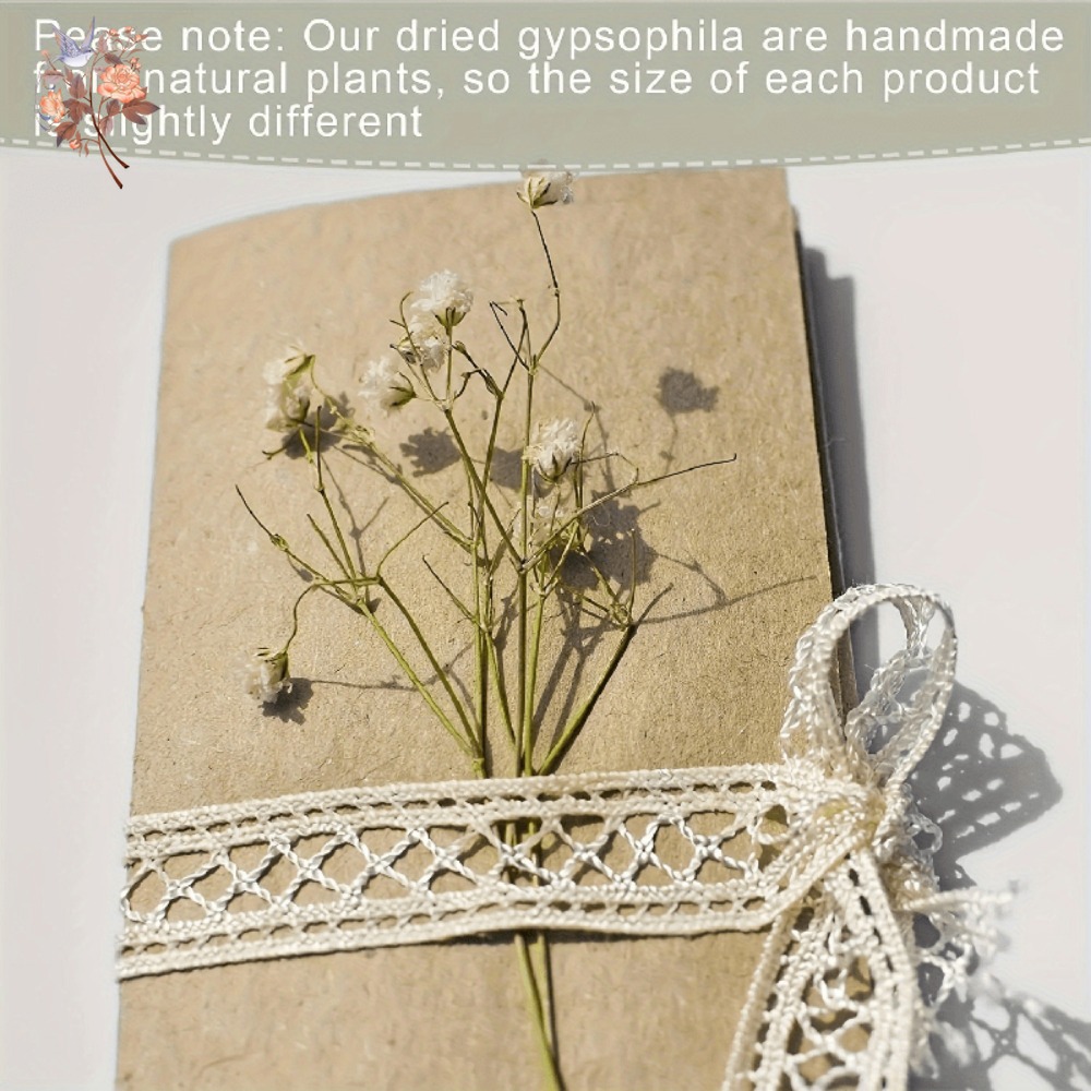 100pcs Mini Dried Baby's Breat - огляд і ціна Dried Flower Bulk
